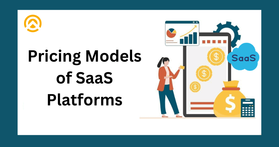 Possible Pricing Models of SaaS Platforms
